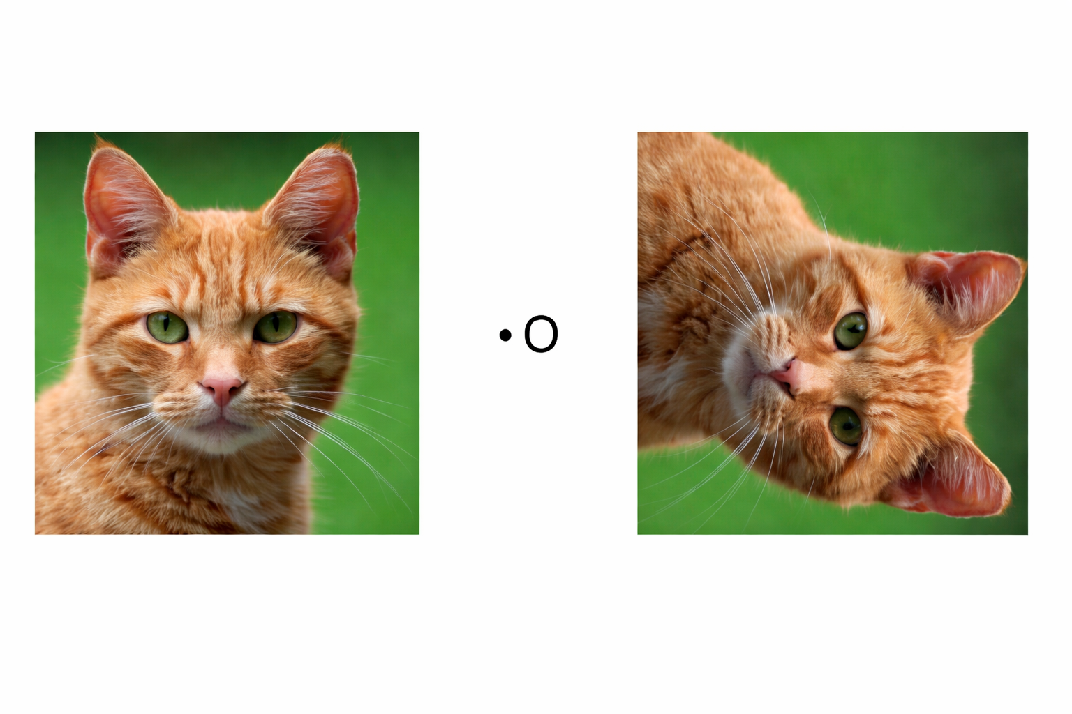 Starter image (https://ibgrouptutors.com/wp-content/uploads/2026/02/ChatGPT-Image-Jan-29-2026-12_27_13-PM.png)